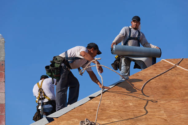 Best Local Roofing Companies  in Nokomis, IL