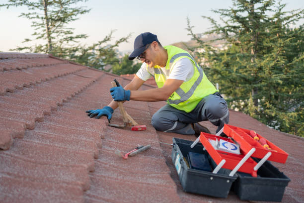 Best Roof Leak Repair  in Nokomis, IL