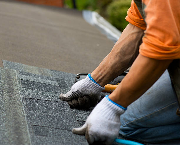 Best Best Roofing Contractors  in Nokomis, IL