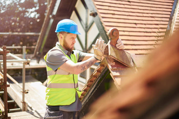 Best Roof Gutter Cleaning  in Nokomis, IL