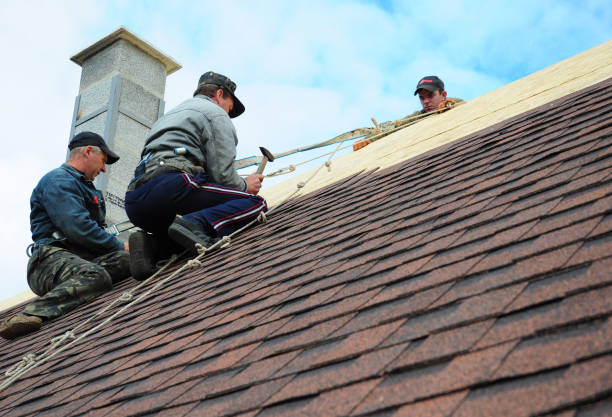 Best Residential Roofing Contractor  in Nokomis, IL