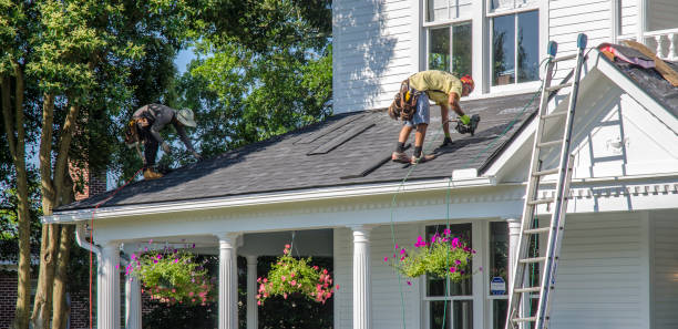 Best Residential Roof Replacement  in Nokomis, IL